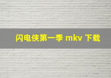 闪电侠第一季 mkv 下载